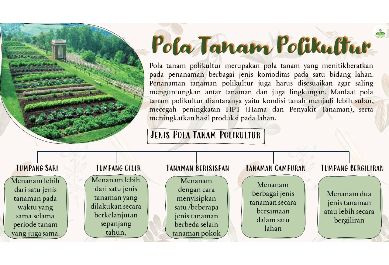 Buat Pola Penanaman yang Menyatu dengan Lahan Sekitar