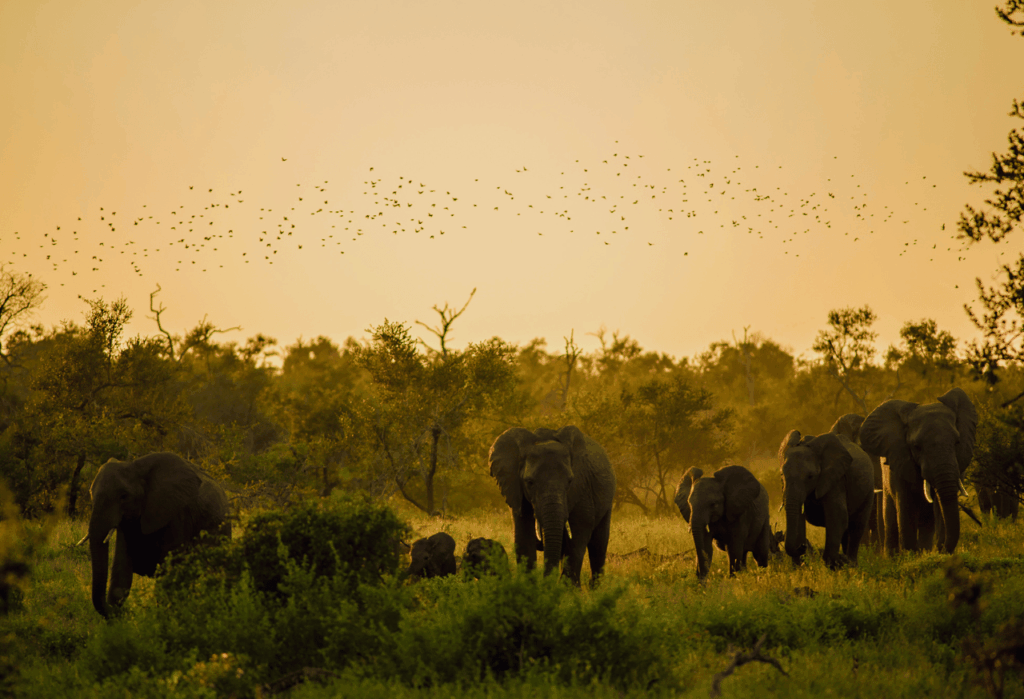 Dampak Positif Jangka Panjang