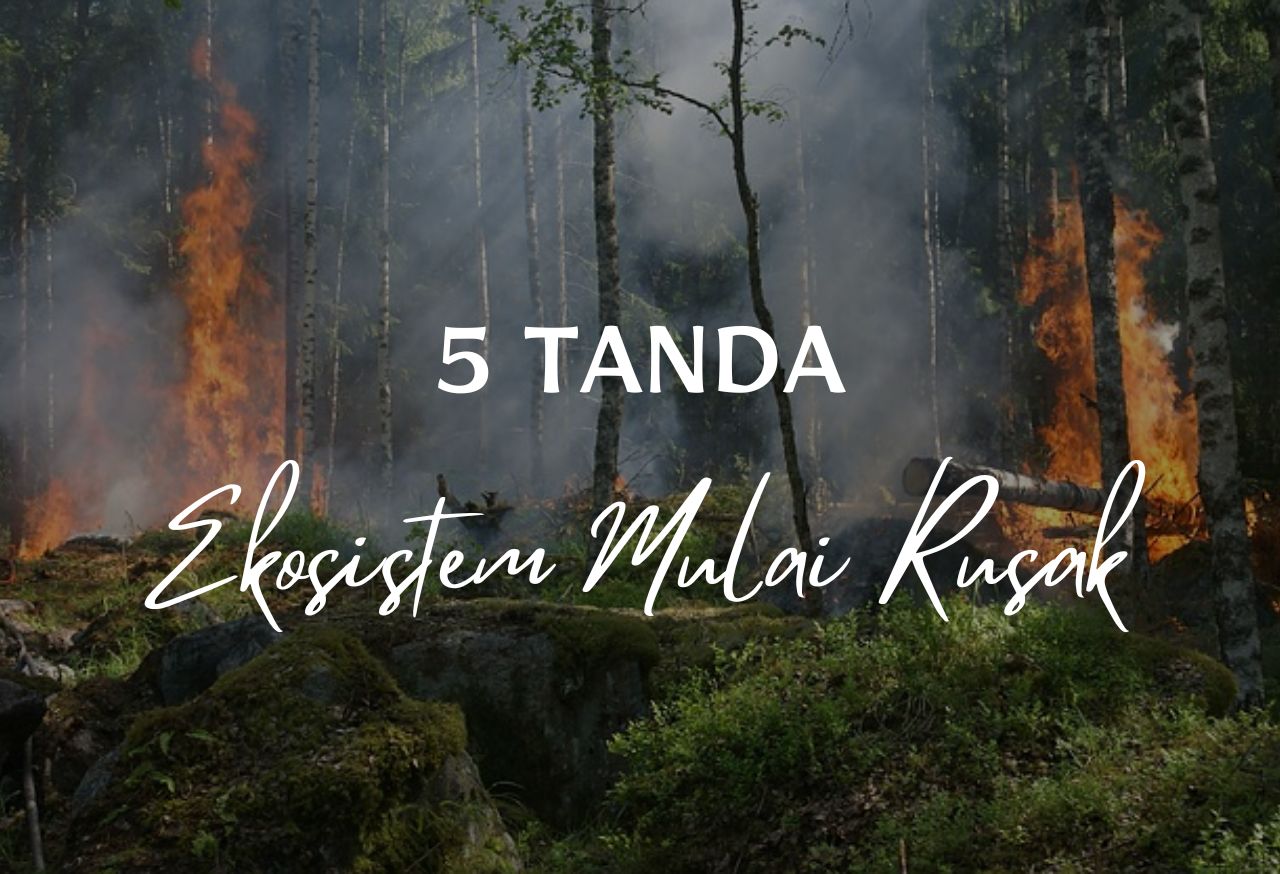 5 Tanda Ekosistem Mulai Rusak dan Cara Mengatasinya