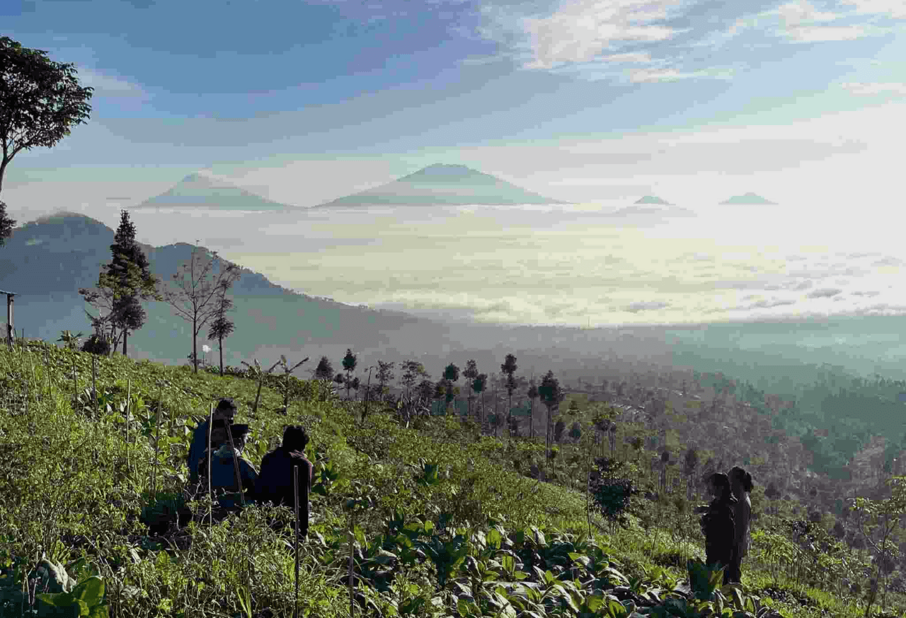 Integrasi Ekonomi-Ekologi