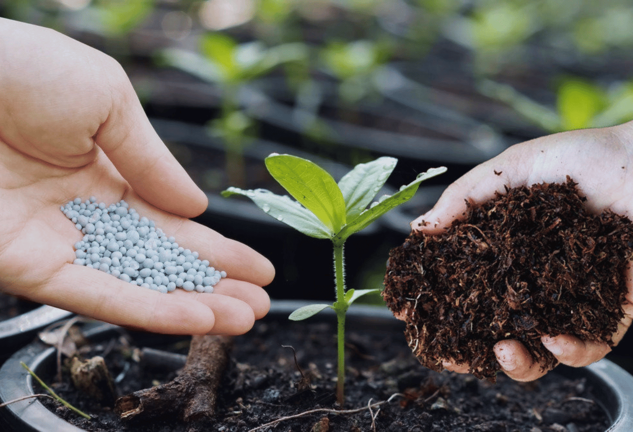 Integrasi Riset dalam Program Revitalisasi