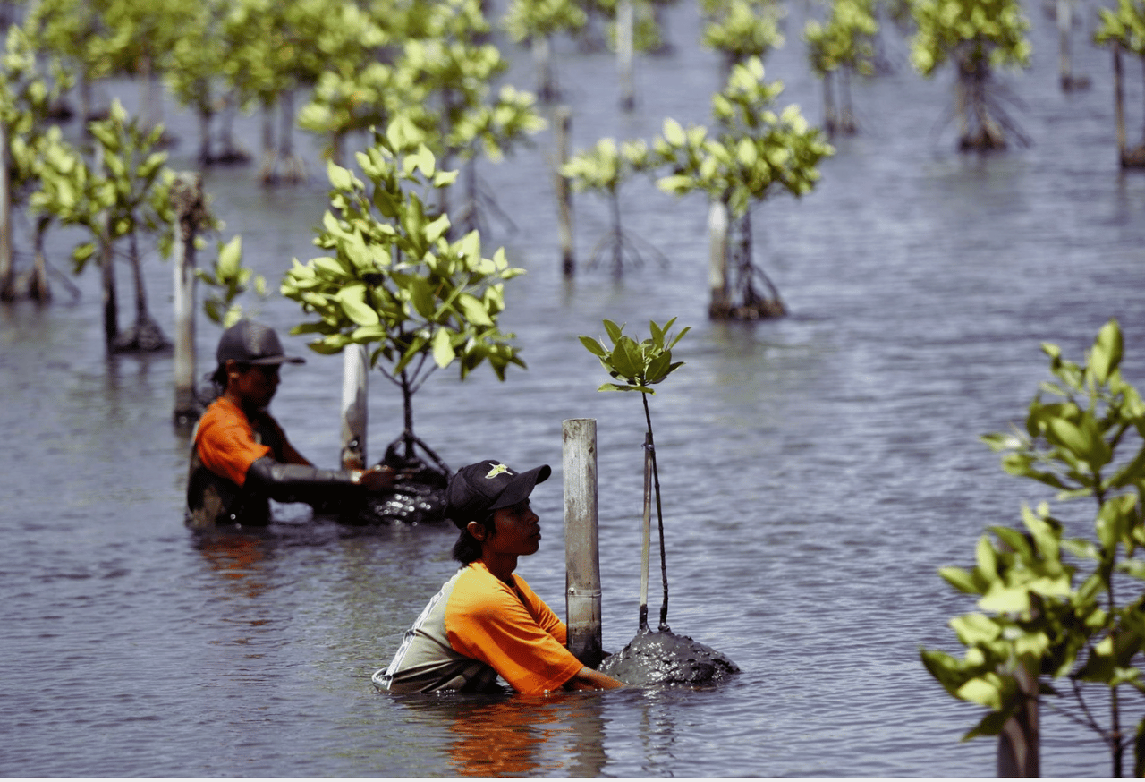 Ketahanan Air dan Pengurangan Risiko Bencana