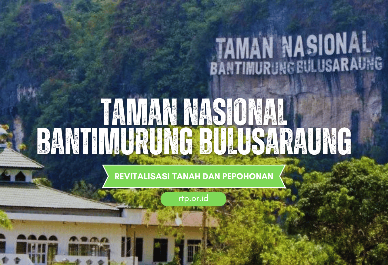 Konservasi Alam Melalui Bantimurung Bulusaraung Jungle Run