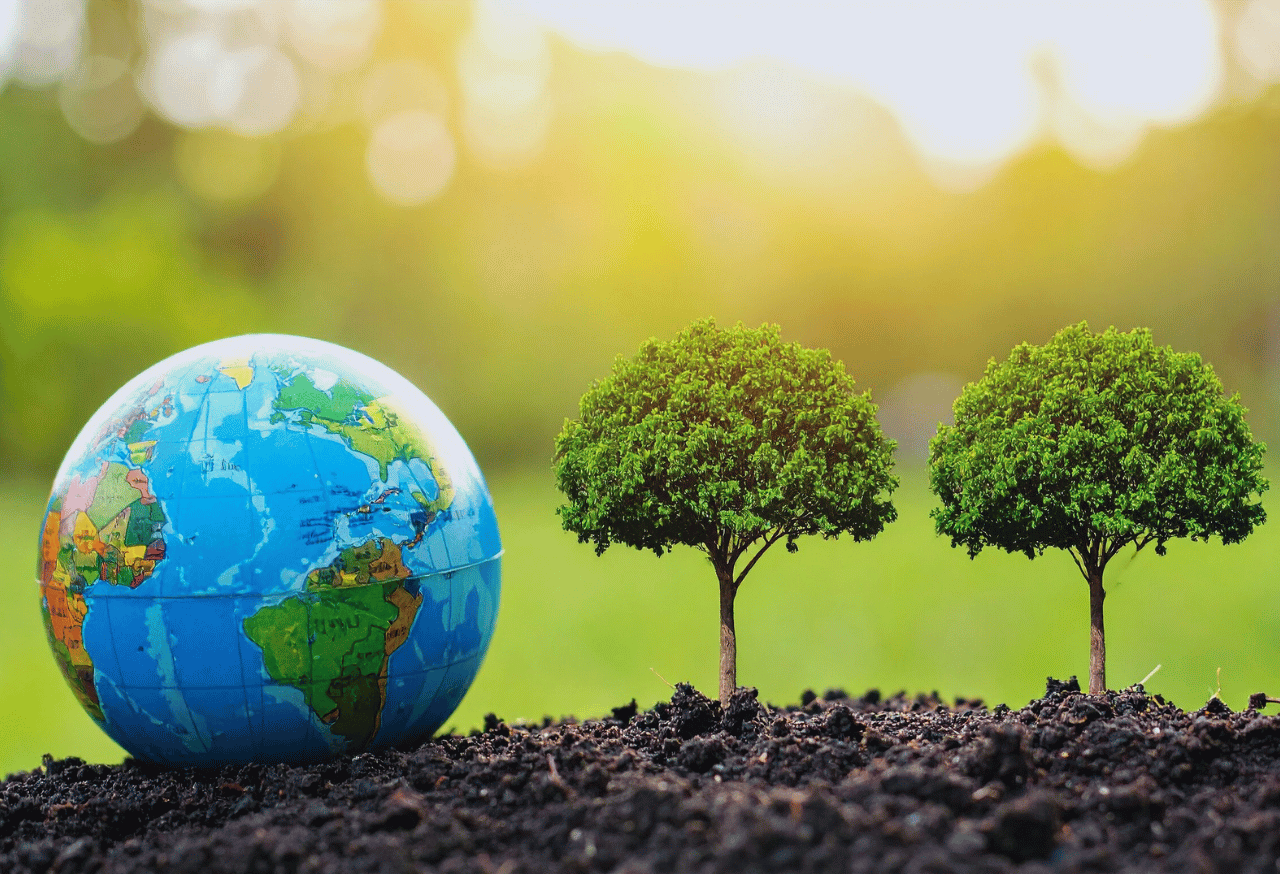 Masa Depan Revitalisasi Tanah dan Pepohonan