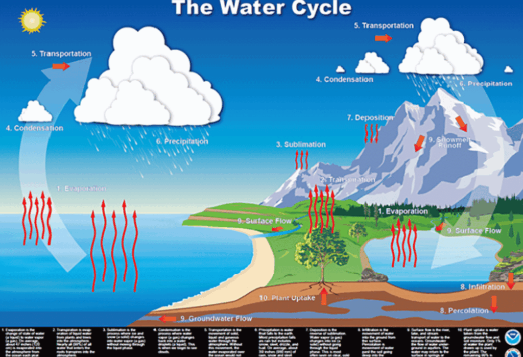 Mekanisme Biologis dan Hidrologis