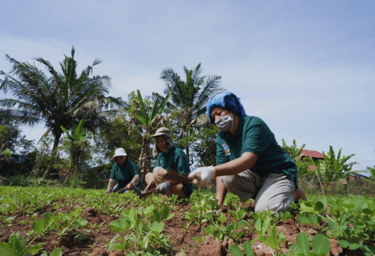 Membangun Kesadaran Lingkungan