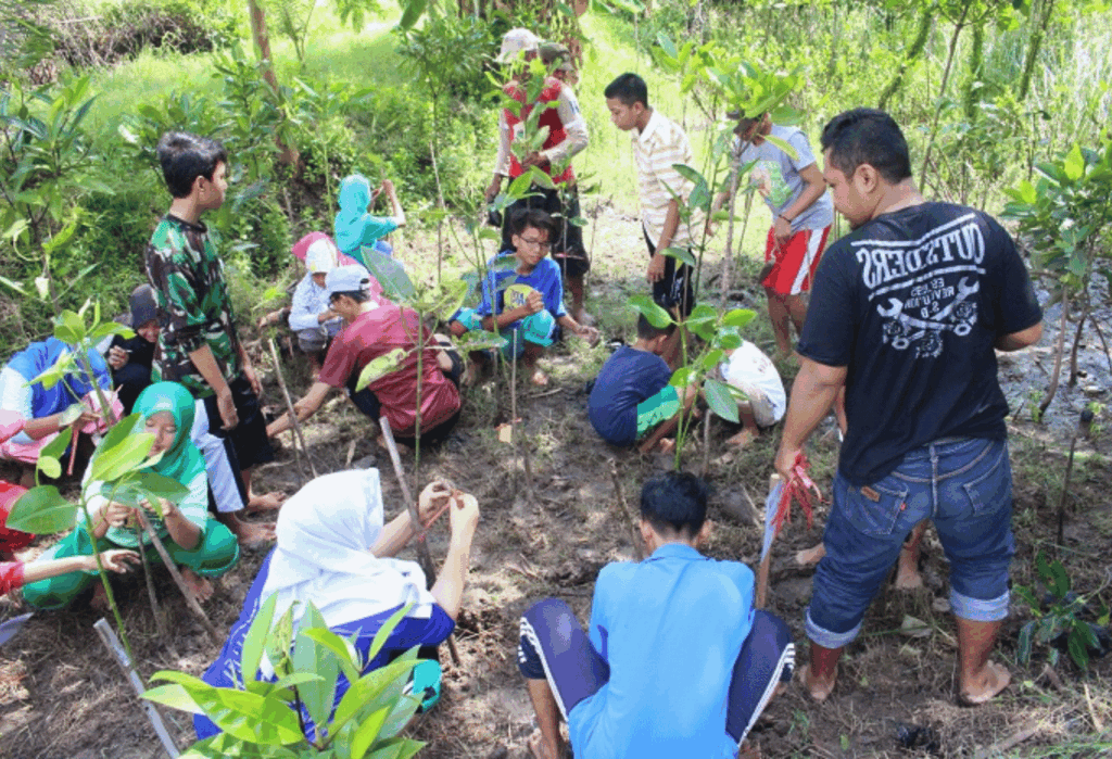 Membangun Pemahaman tentang Fungsi Ekologis Tanah dan Pohon