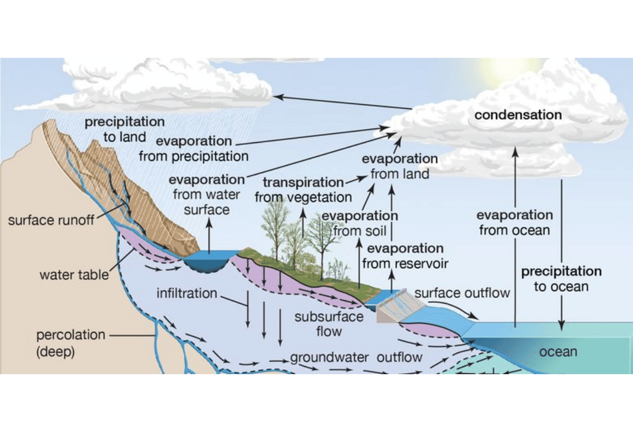 Mengapa Revitalisasi Tanah dan Pepohonan Menjadi Kunci Perbaikan Siklus Air