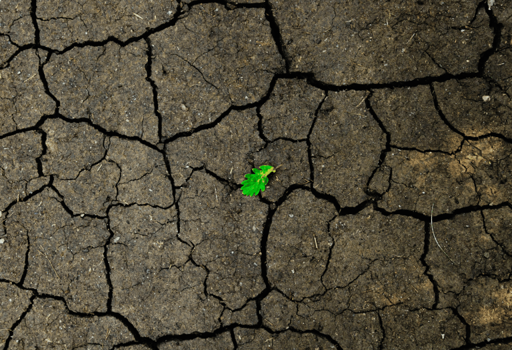 Mengapa Tanah Perlu Direvitalisasi