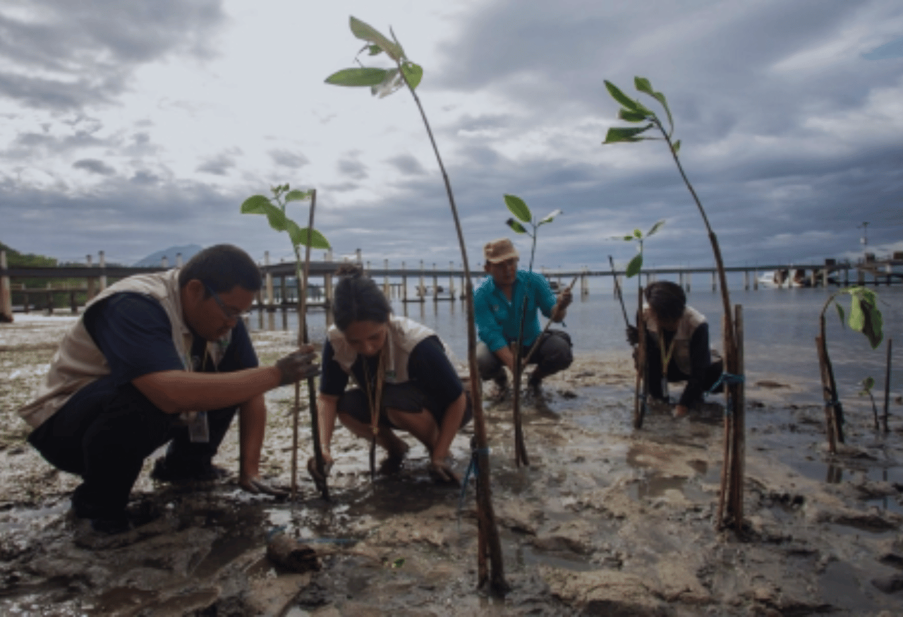 Partisipasi Masyarakat