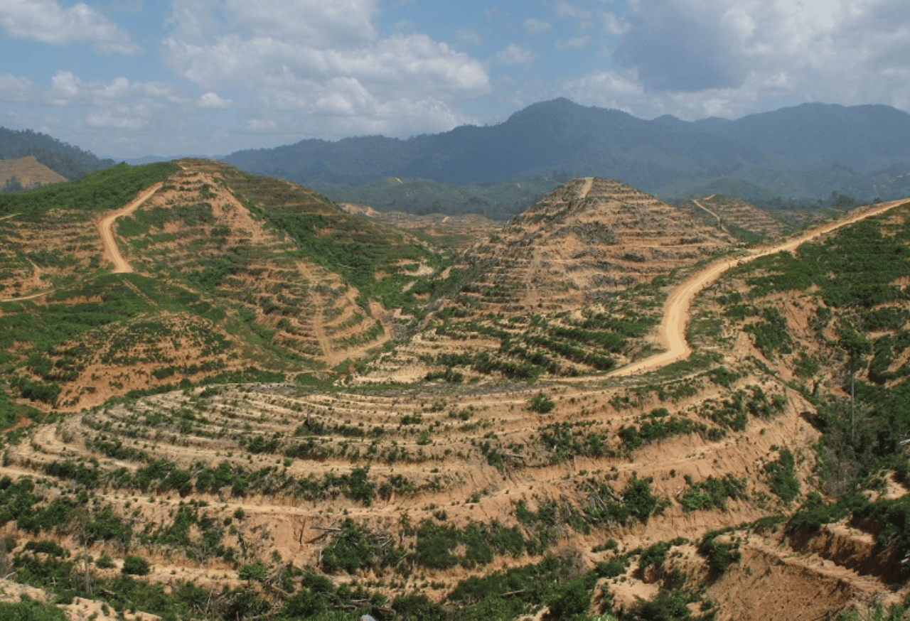 Pemulihan Ekosistem dan Keanekaragaman Hayati