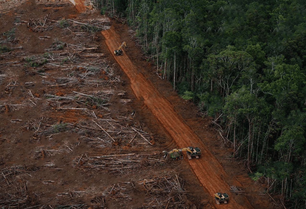 Pemulihan Fungsi Ekosistem