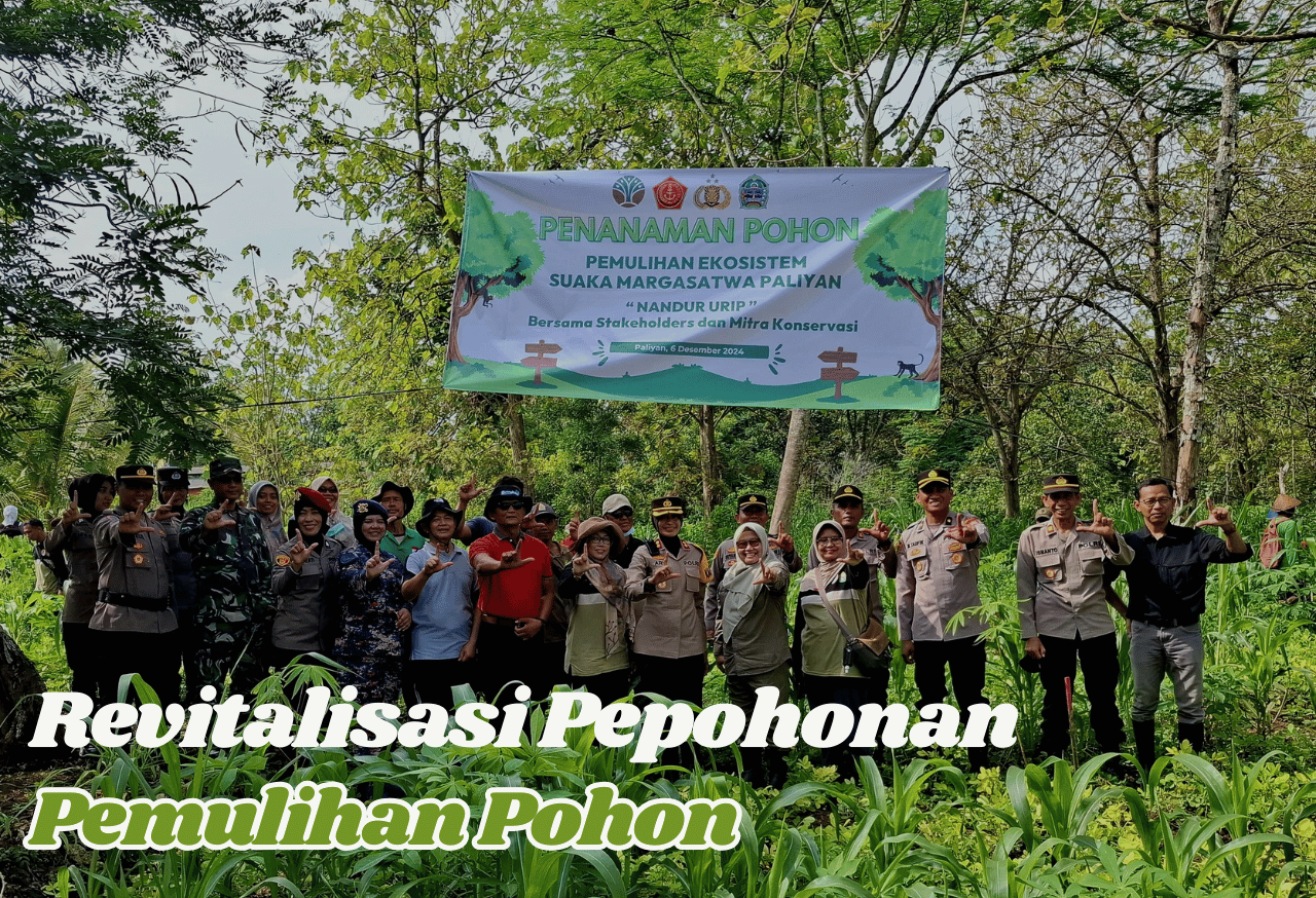 Pemulihan Pohon: Mengembalikan Pesona dan Kesejukan Kota