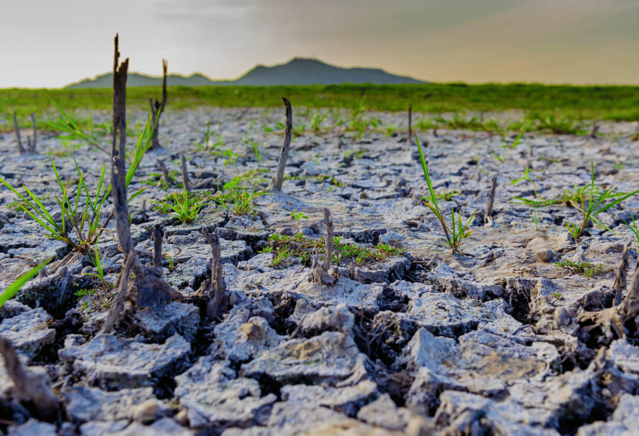 Pemulihan Struktur dan Kesuburan Tanah