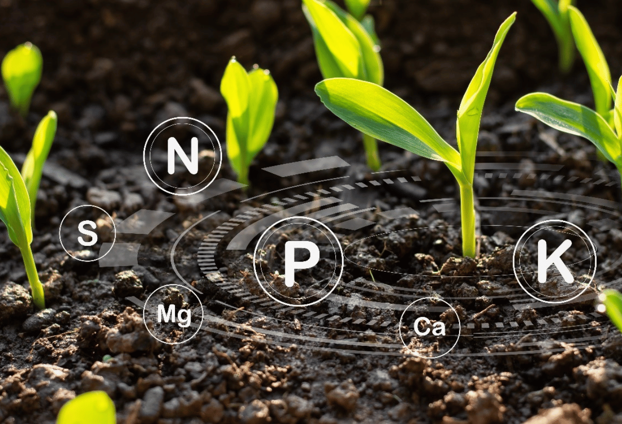 Penambahan Bahan Organik Alami