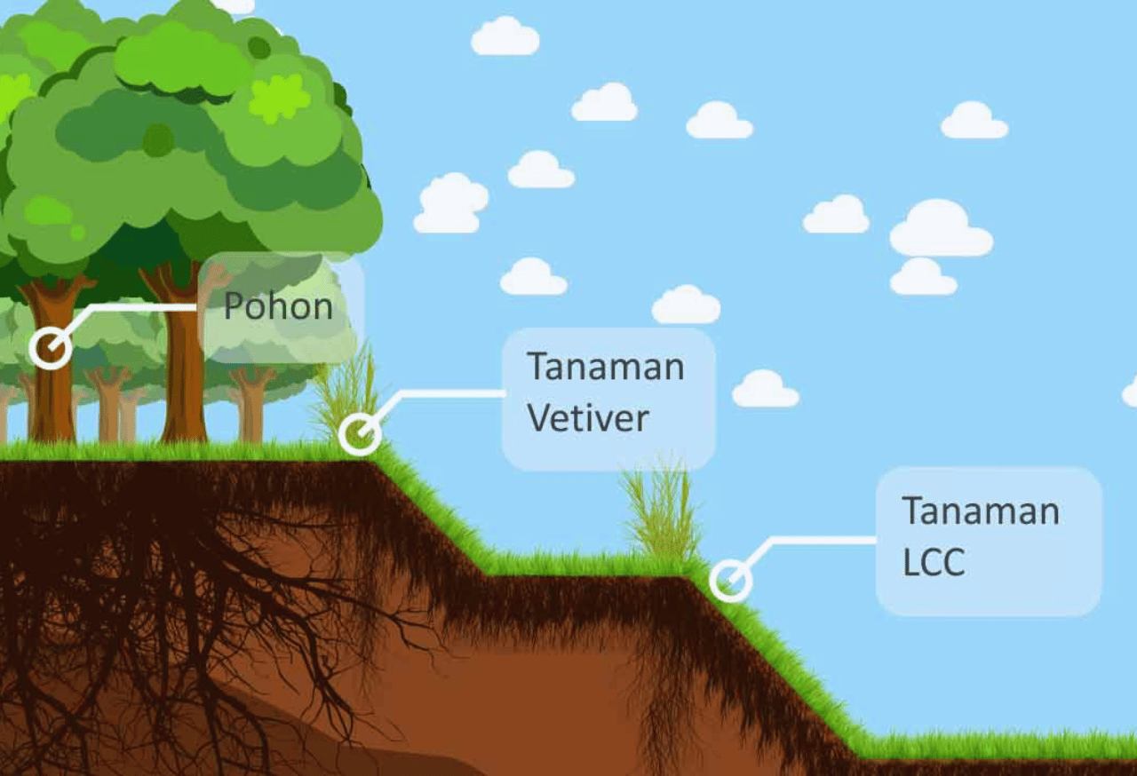 Pencegahan Erosi dan Longsor