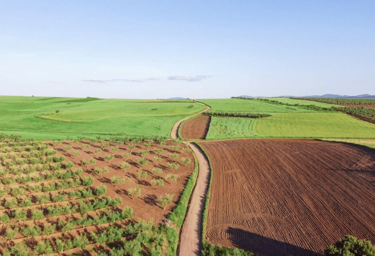 Penggunaan Penutup Tanah dan Rotasi