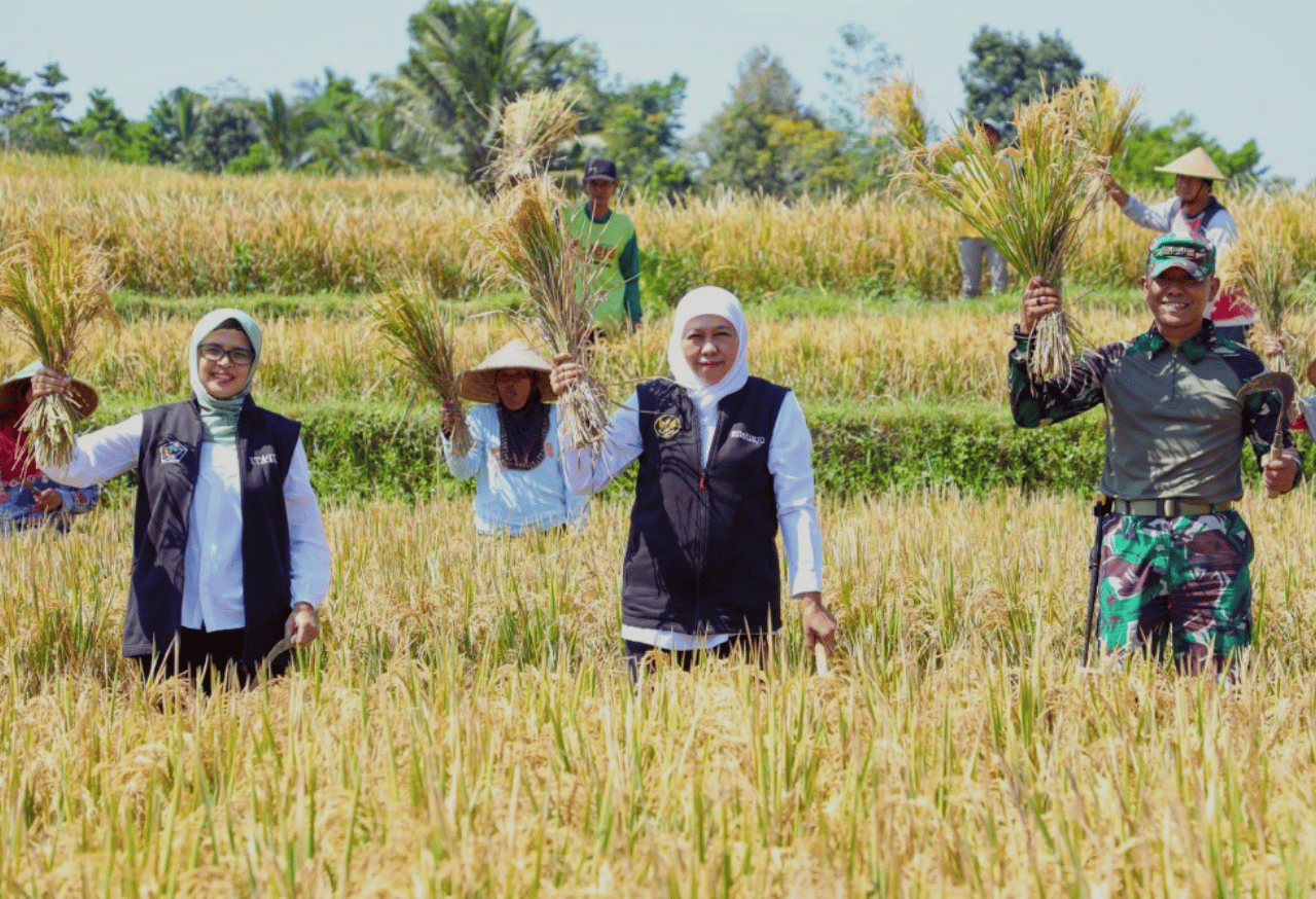 Peningkatan Produktivitas Lahan