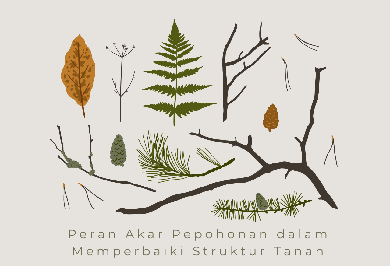 Peran Akar Pepohonan dalam Memperbaiki Struktur Tanah