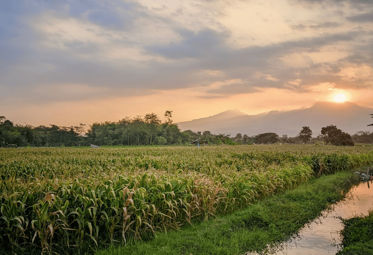 Pertanian Regeneratif