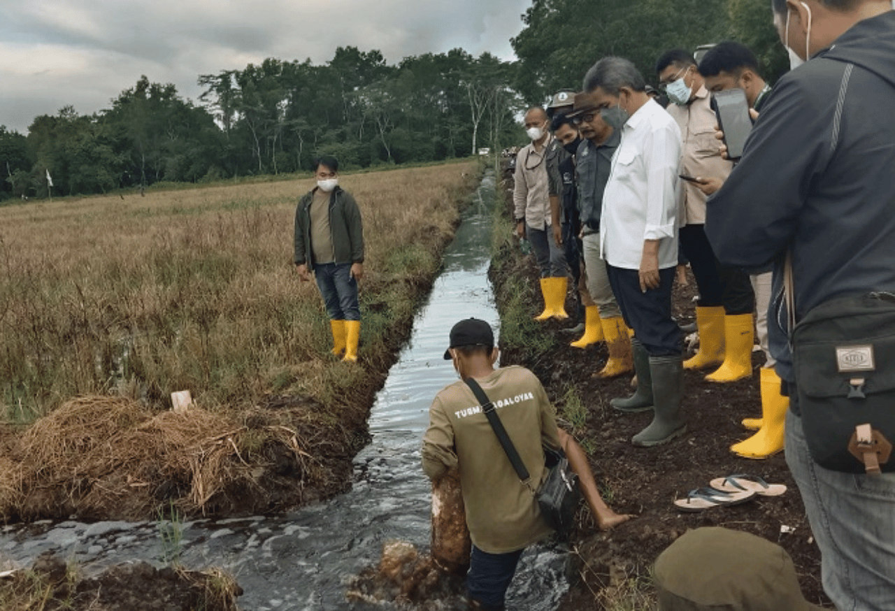 Revitalisasi Tanah: Dorong Hasil Produksi yang Tinggi di Pertanian