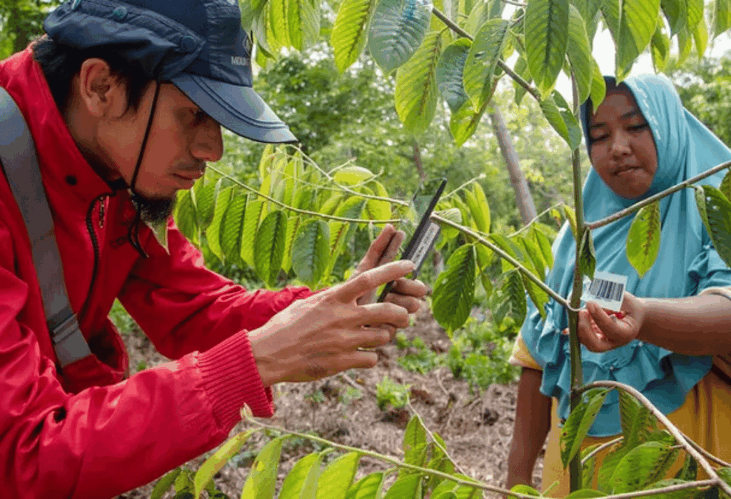 Strategi Efektif Revitalisasi