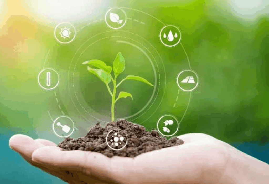 Tantangan dan Masa Depan Revitalisasi