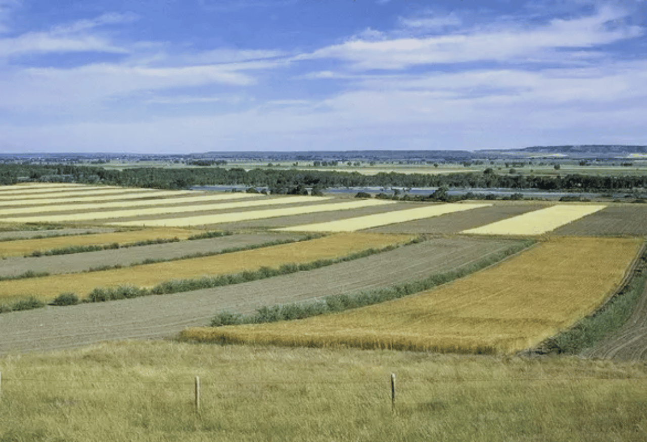 Teknik Konservasi Tanah