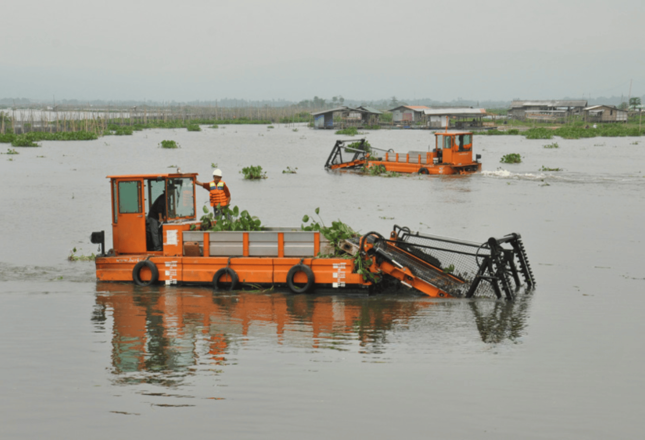 Teknologi Bioremediasi